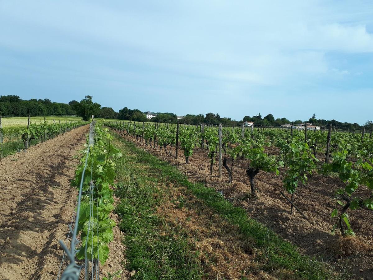 Escapade Entre Vignes Et Mer Corme-Royal Exterior photo